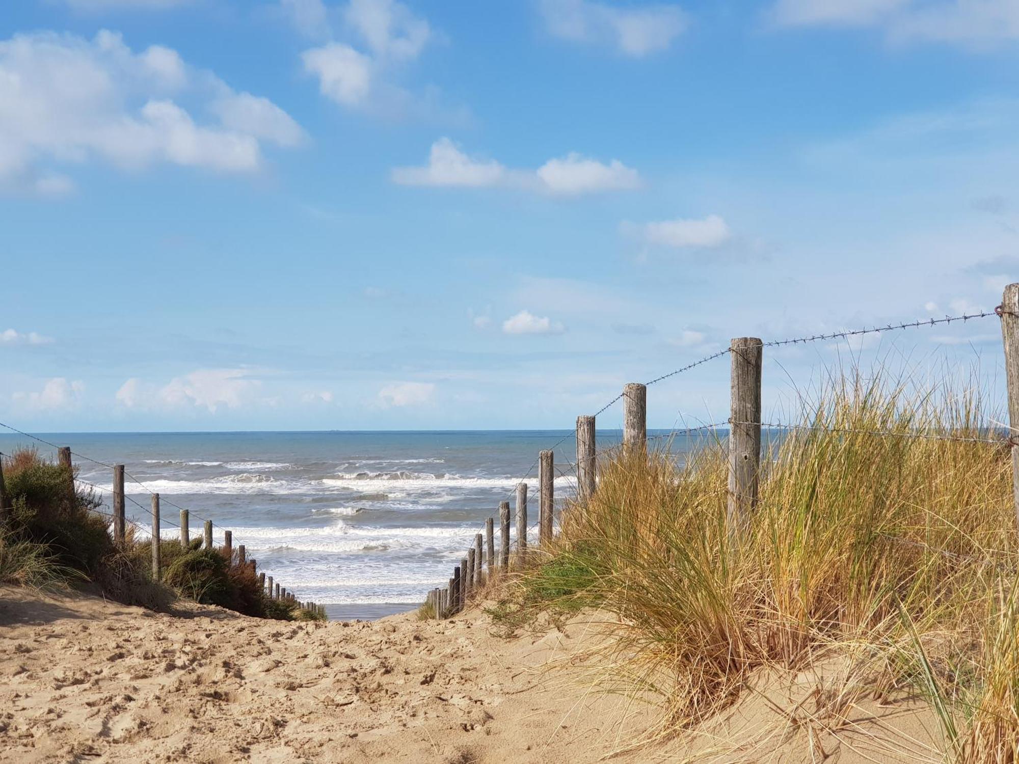 Hotel B&B Seahorse Katwijk aan Zee Exterior photo